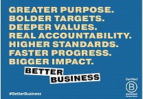 Pure Strategies 2020 Report on the B Corp Re-Certification Progress