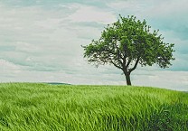 Bridging climate and nature: How to progress on both strategies to scale supply chain improvements