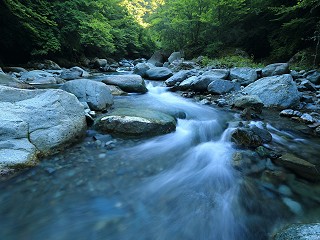 Practical considerations in advancing corporate nature disclosures