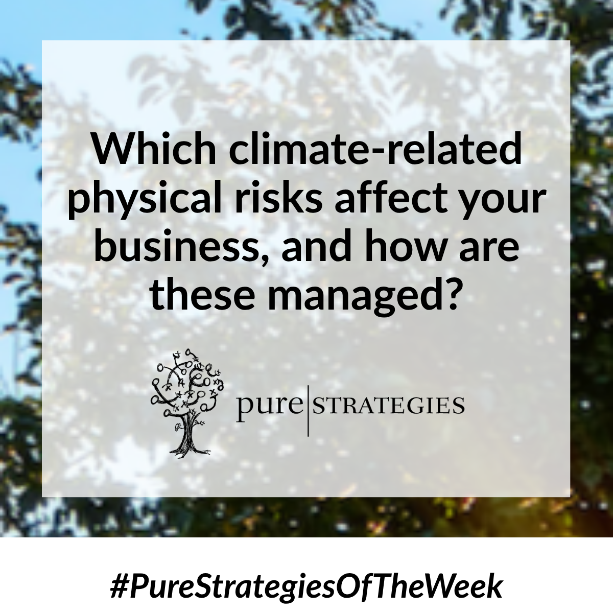Introducing Pure Strategies of the Week!