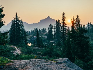 Preparing for the European Union Deforestation Regulation and a new level of forest supply chain due diligence