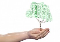 CDP - not just for carbon reporting: four overlooked advantages