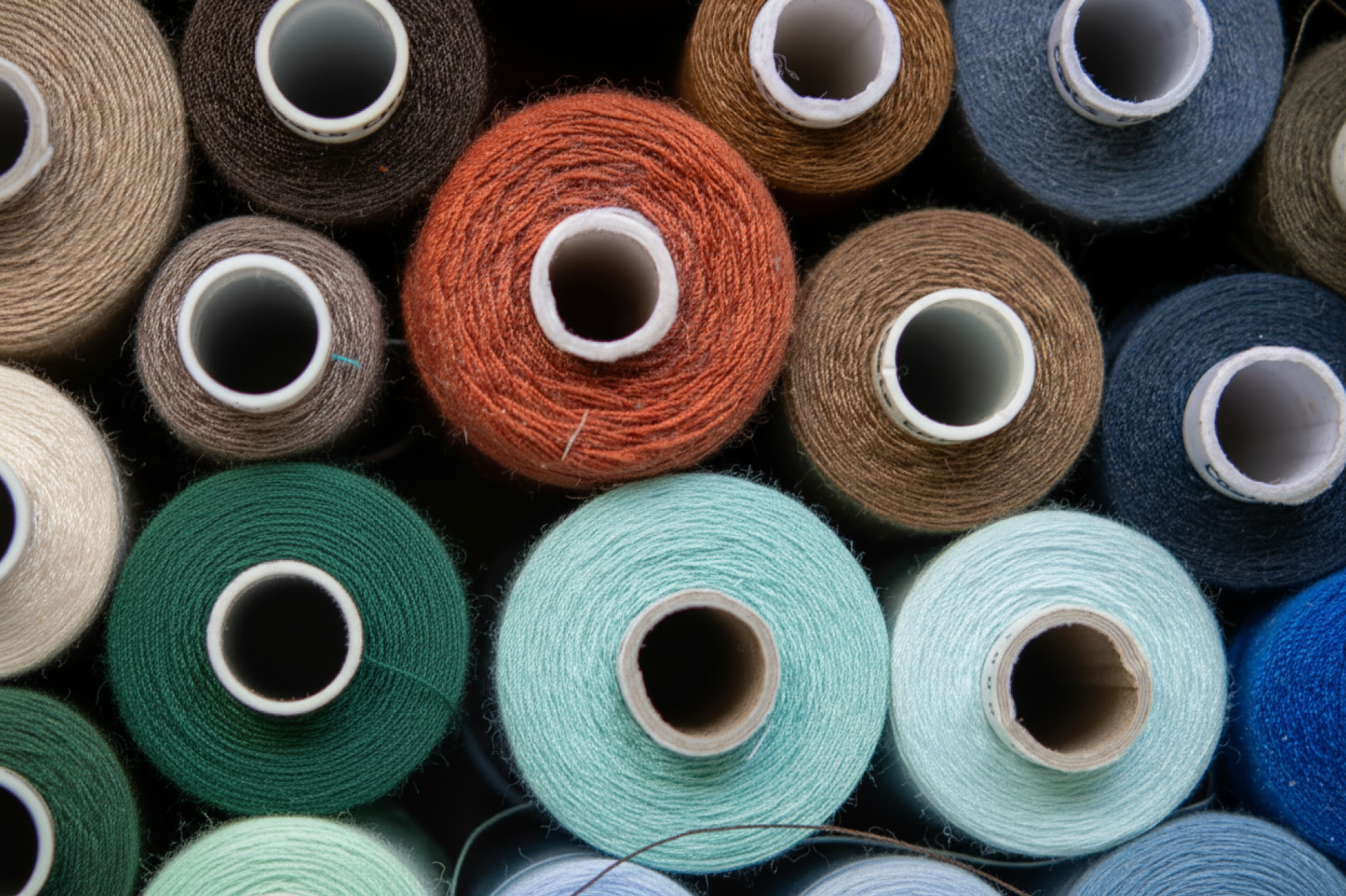 Everlane maps nature risk to inform sustainable sourcing strategy